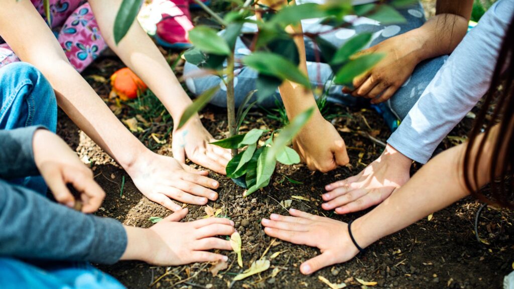 Planting Trees